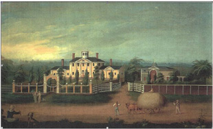 Belvedere Plantation 1858